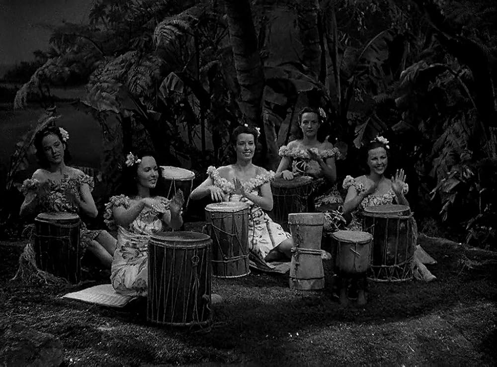 凸凹海軍の巻の画像