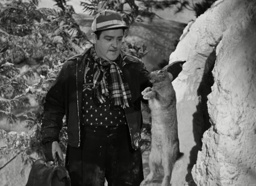 凸凹スキー騒動の画像