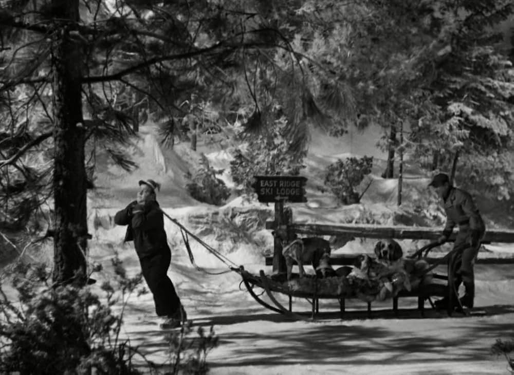 凸凹スキー騒動の画像