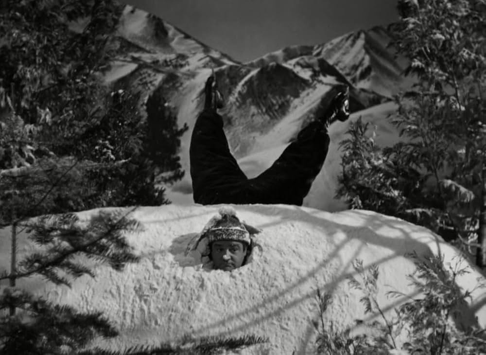 凸凹スキー騒動の画像