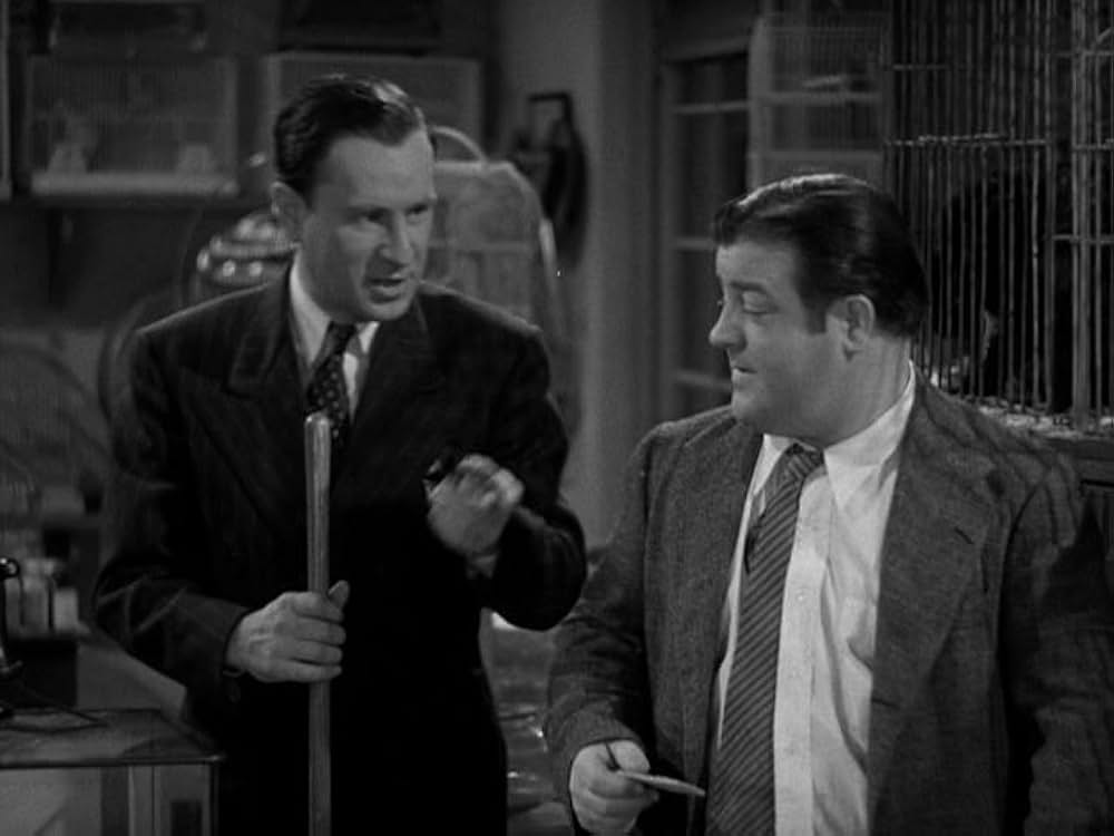 凸凹スパイ騒動の画像