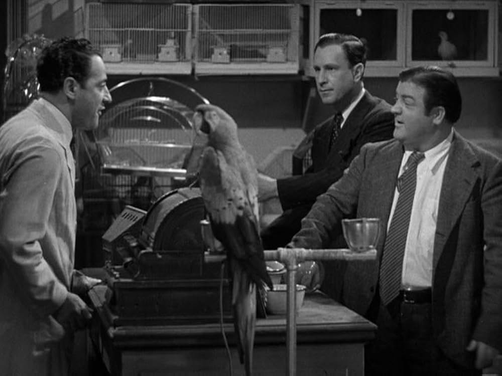 凸凹スパイ騒動の画像