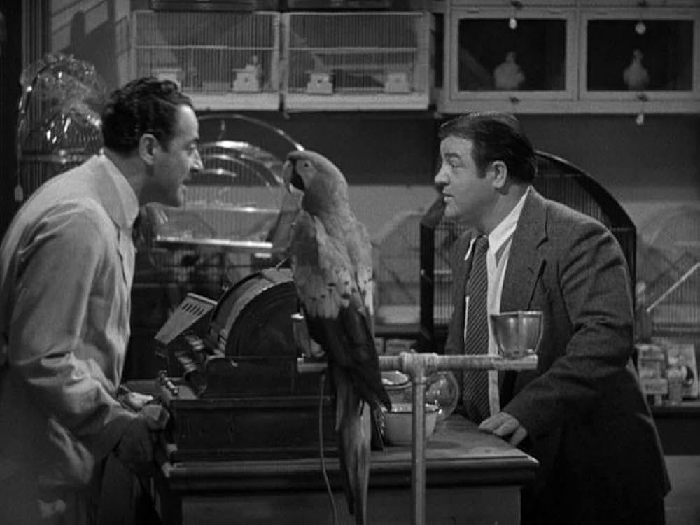 凸凹スパイ騒動の画像