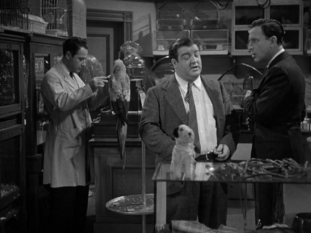 凸凹スパイ騒動の画像