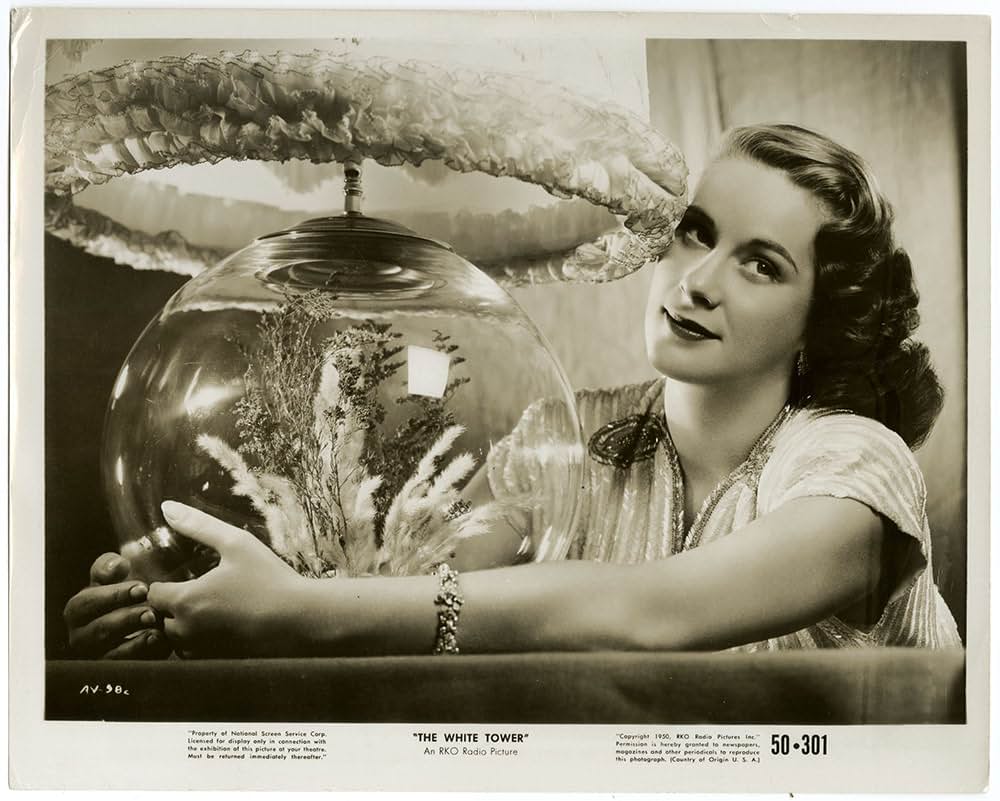 白銀の嶺の画像