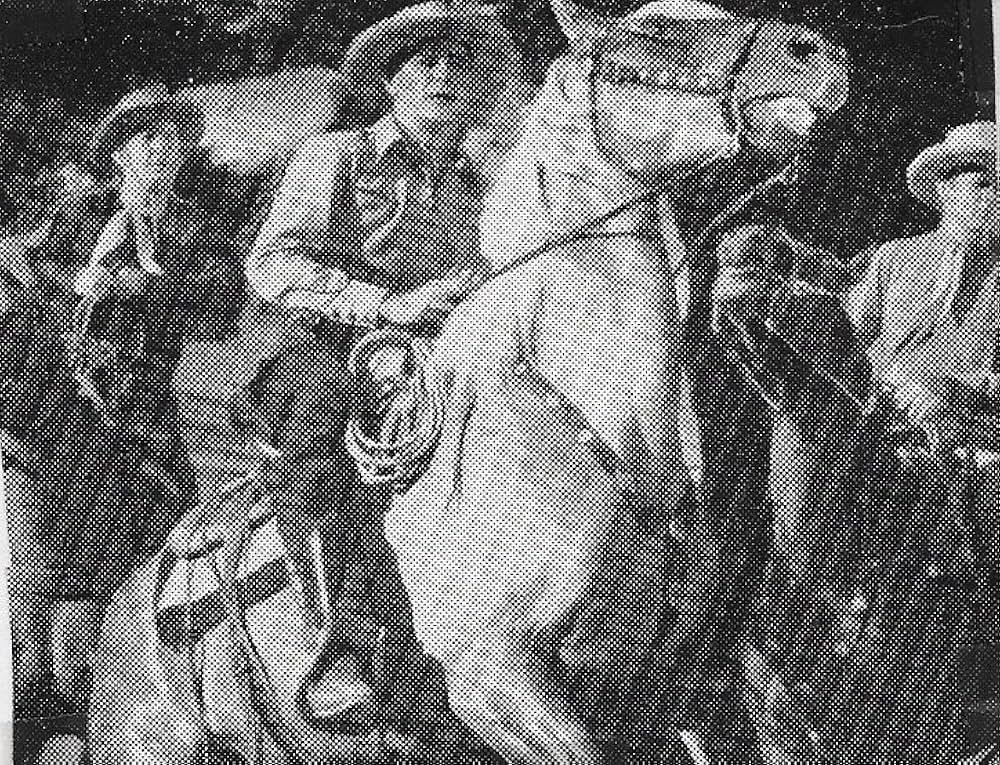 国境の裏切り者の画像