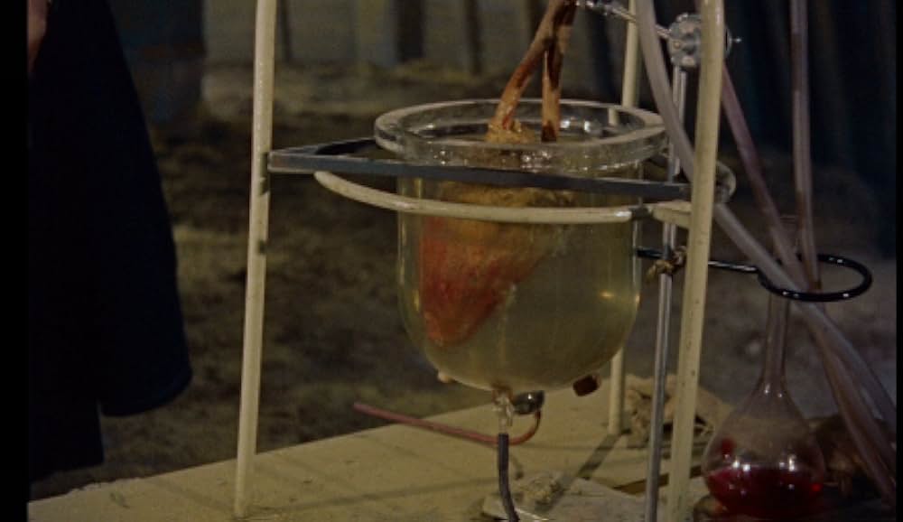 生きていた吸血鬼の画像