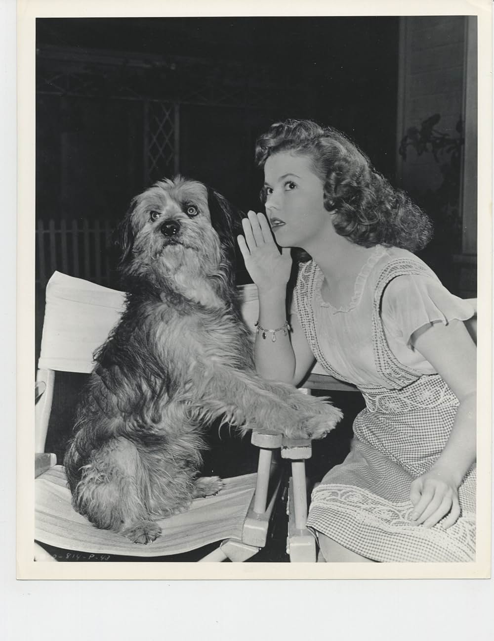 接吻売りますの画像