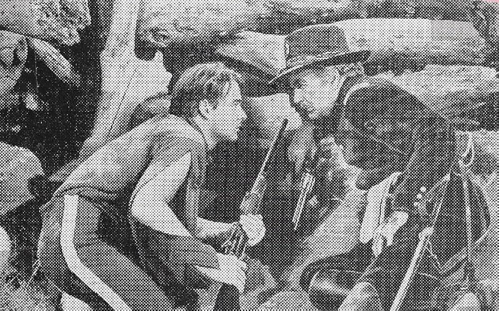 ジェロニモの画像