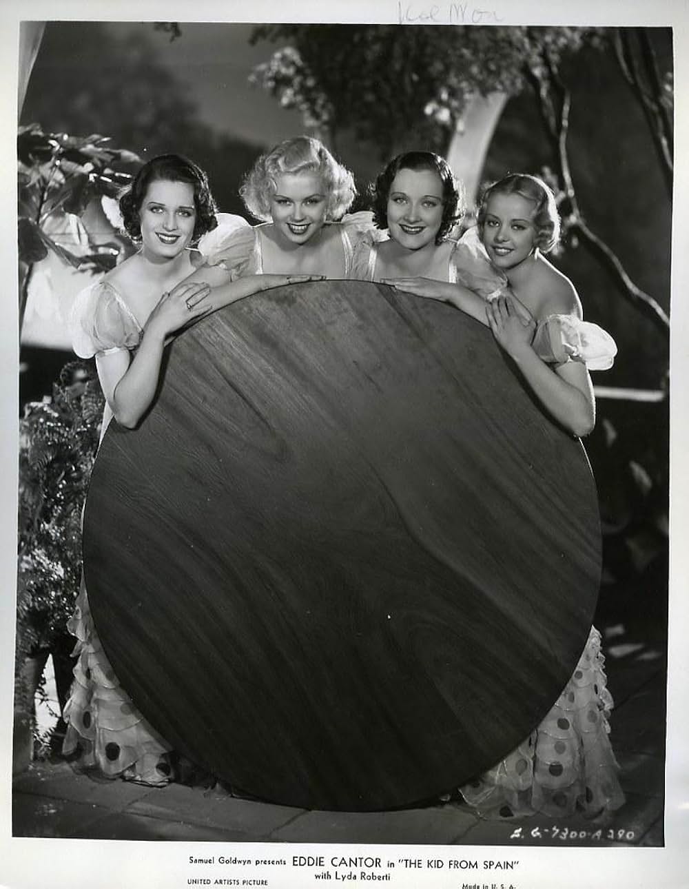 カンターの闘牛士の画像