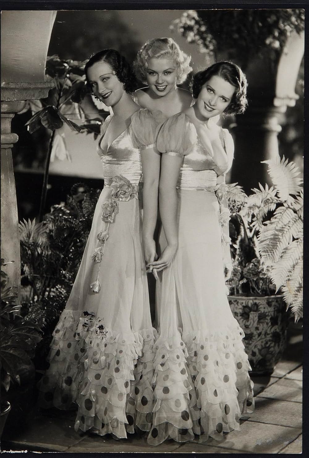 カンターの闘牛士の画像