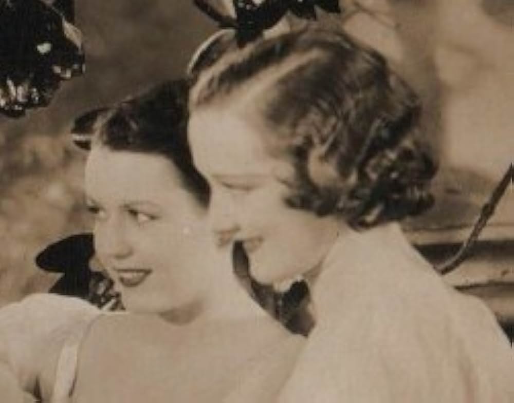 カンターの闘牛士の画像