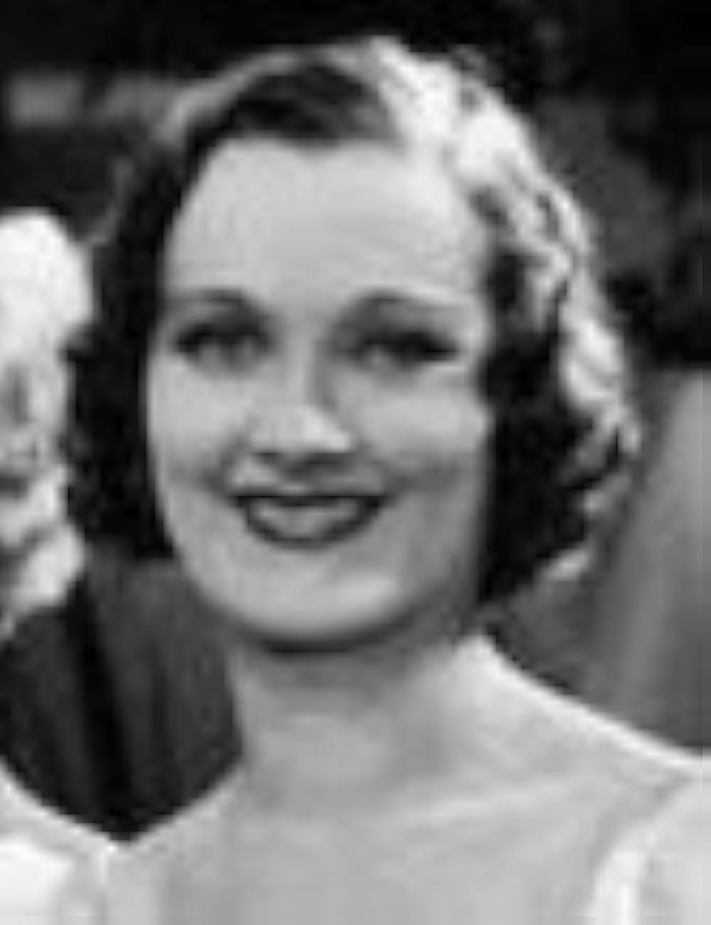 カンターの闘牛士の画像