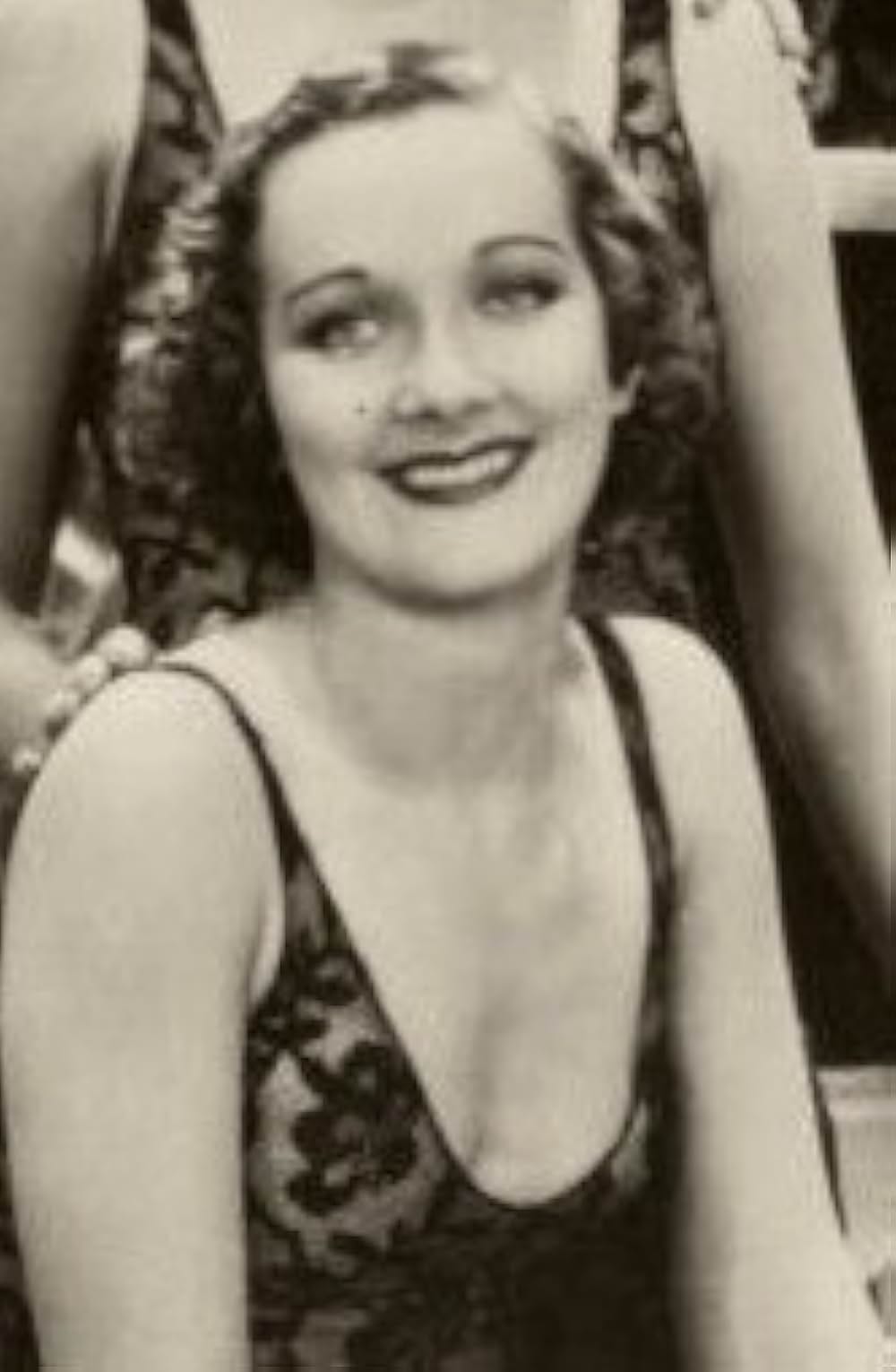 カンターの闘牛士の画像