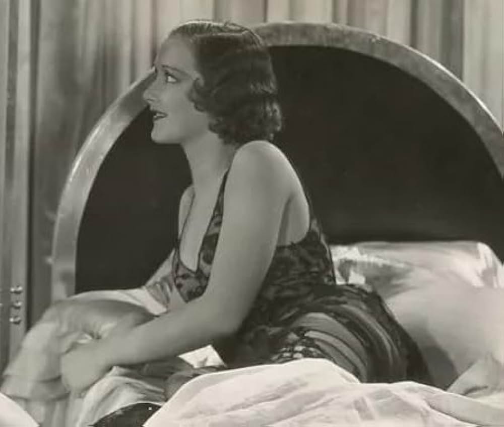 カンターの闘牛士の画像