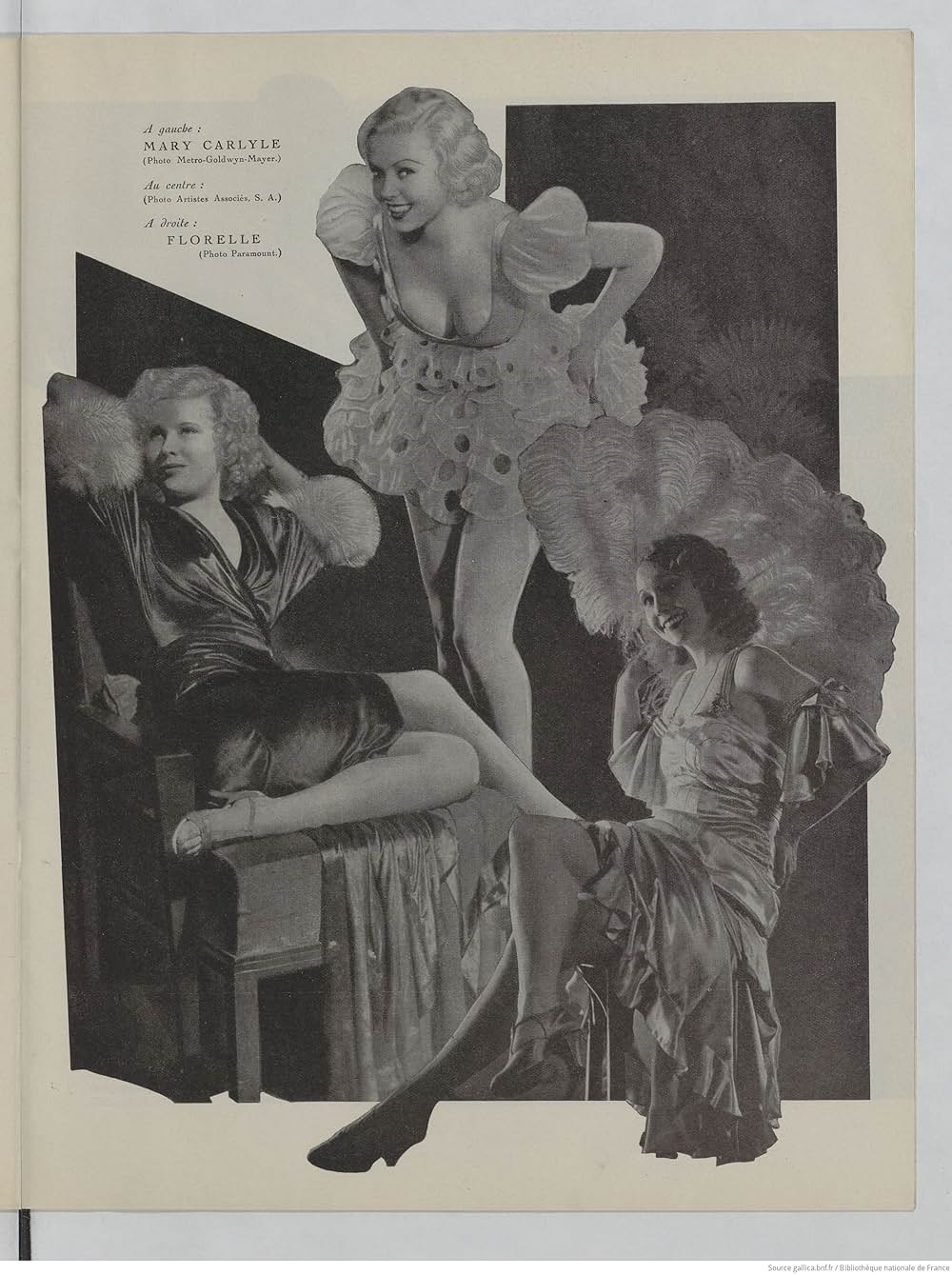 カンターの闘牛士の画像