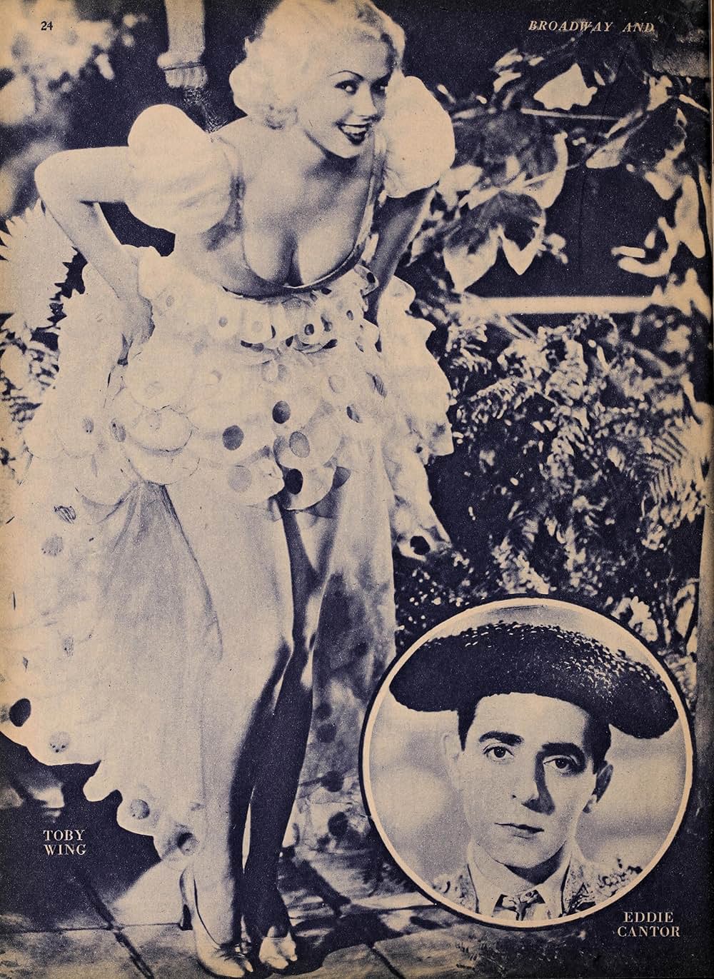 カンターの闘牛士の画像