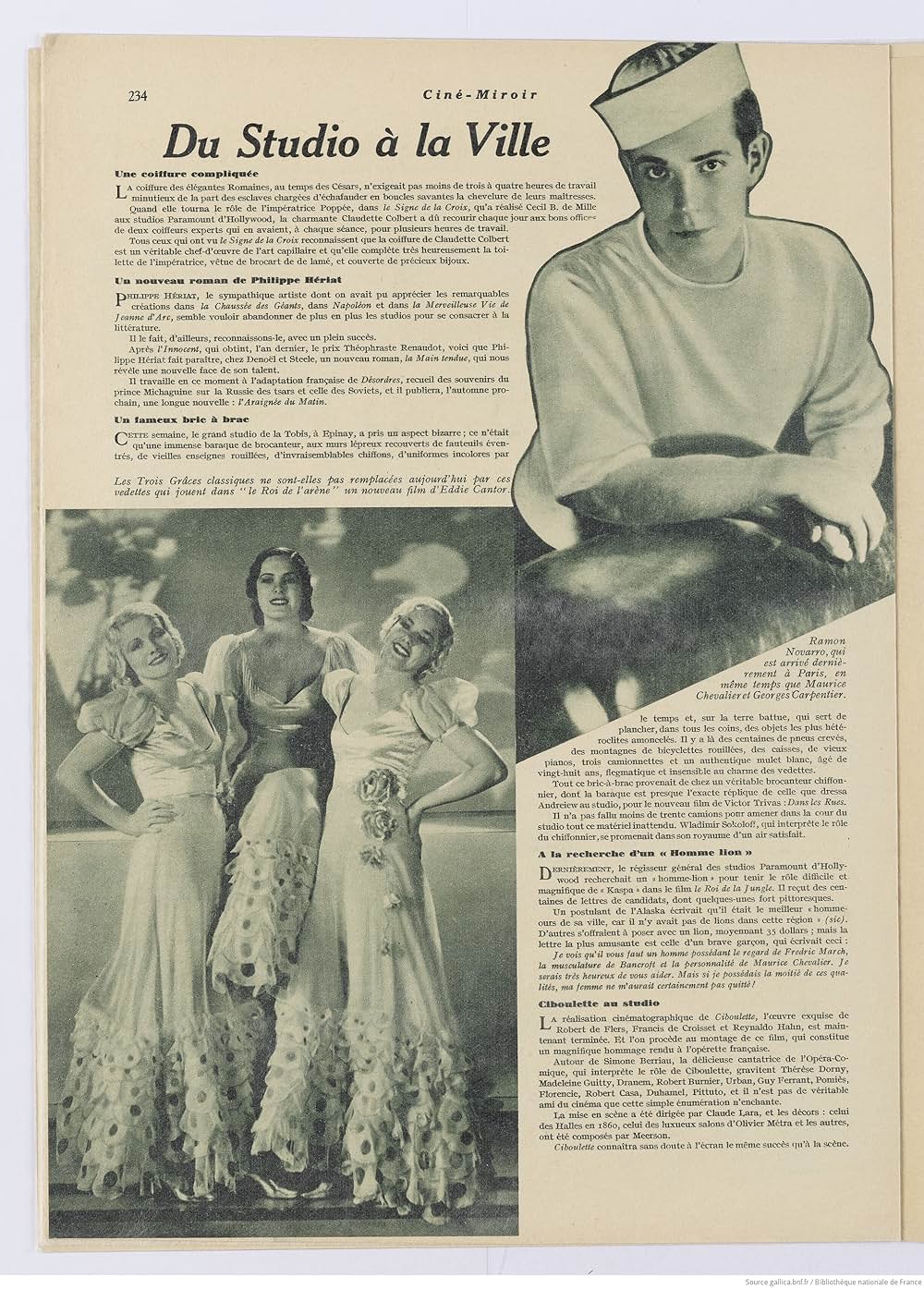 カンターの闘牛士の画像