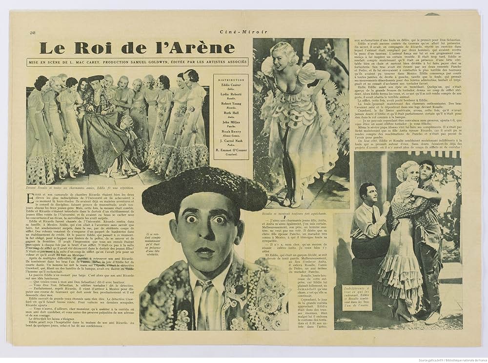 カンターの闘牛士の画像