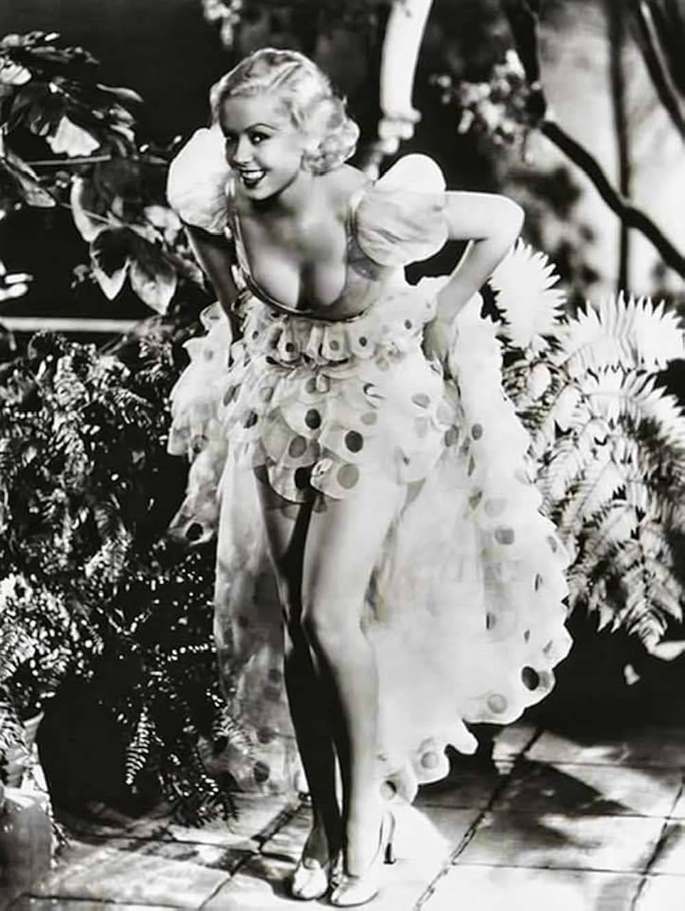 カンターの闘牛士の画像