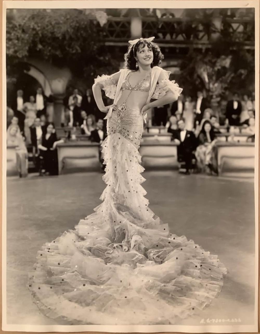 カンターの闘牛士の画像