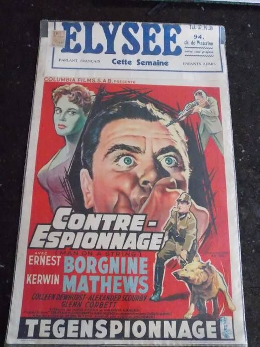 FBIモスクワに潜入せよの画像