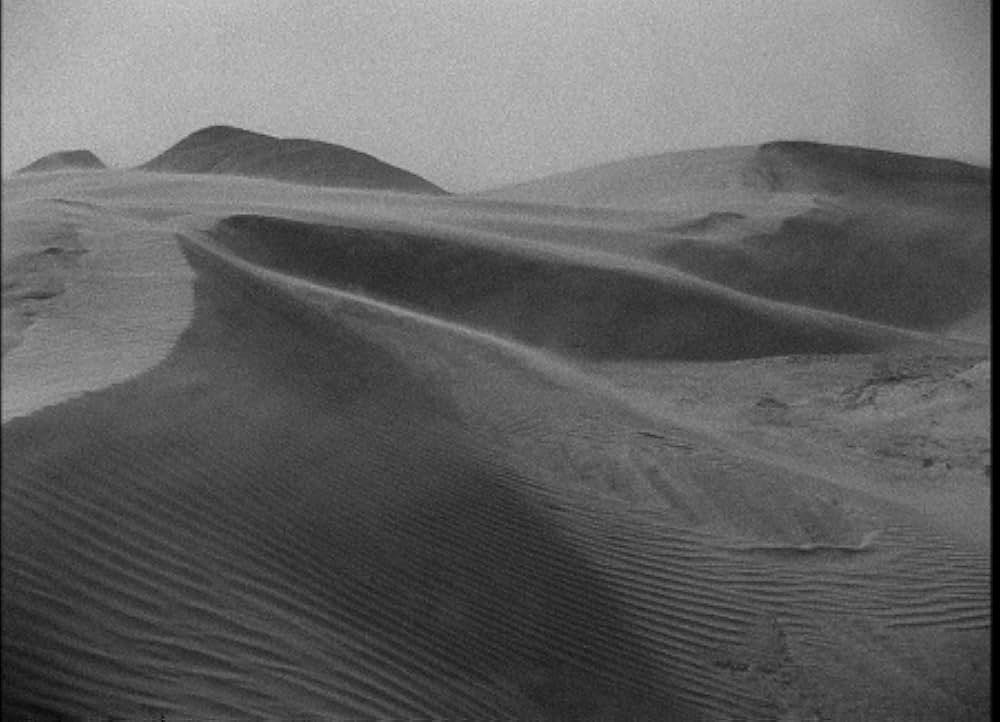 サハラ戦車隊の写真