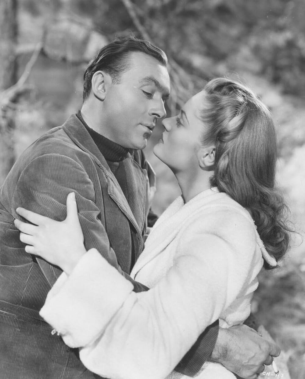 永遠の処女の画像