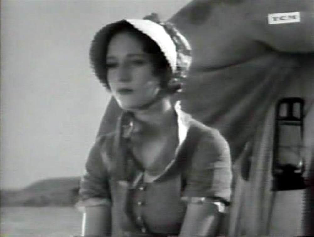 アリゾナ・ギャングの画像