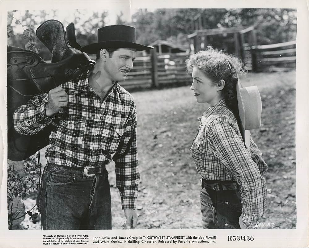 荒原の征服者の画像