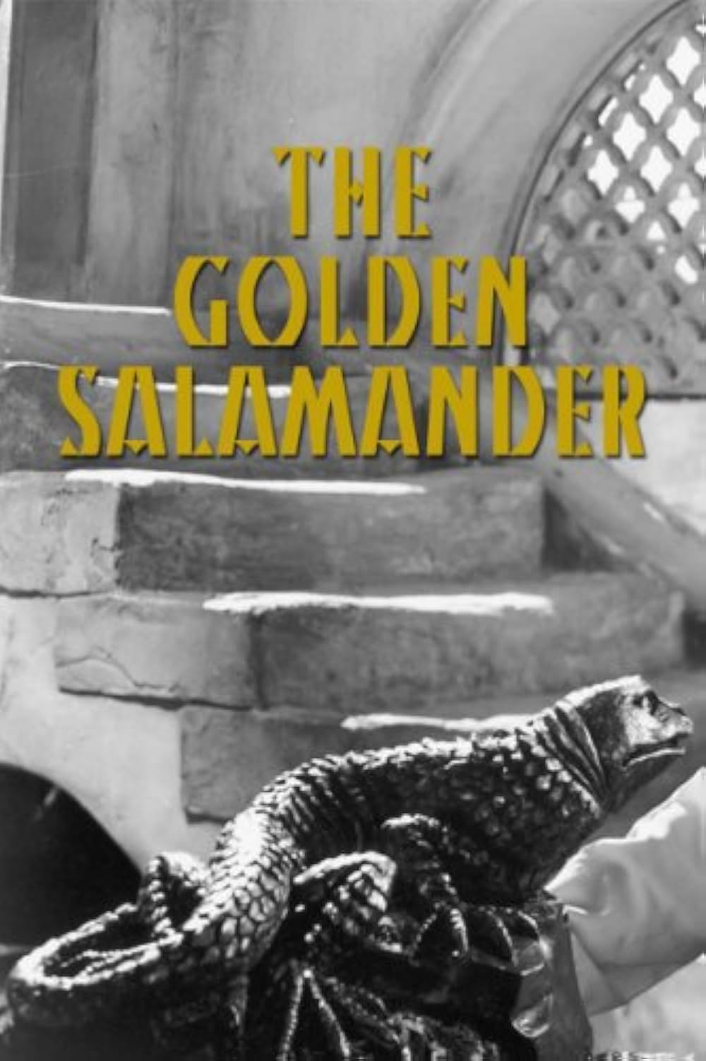 黄金の龍の画像