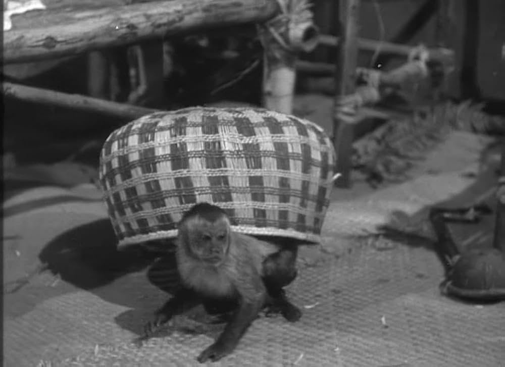 魔境のターザンの画像