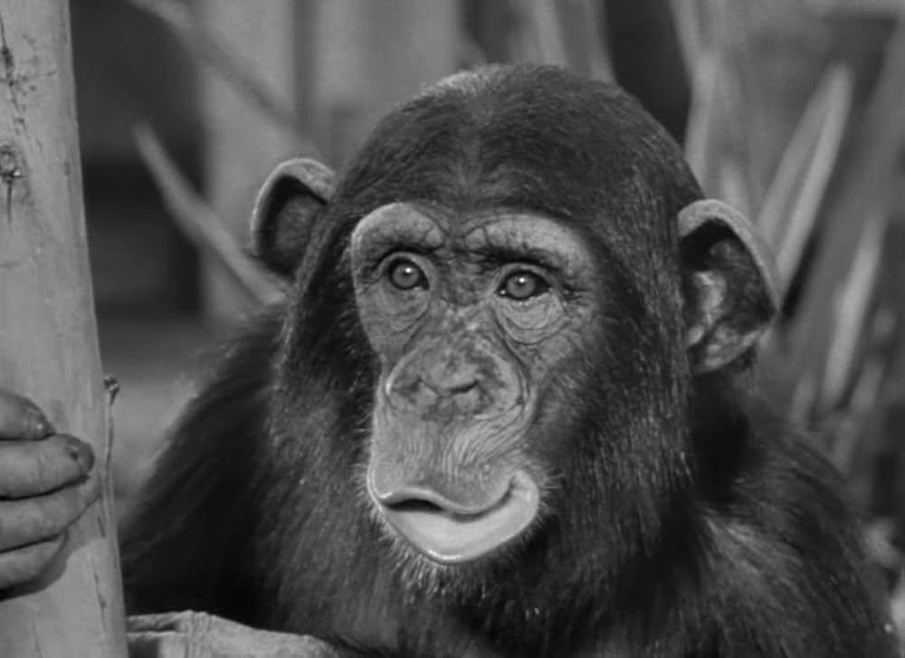 魔境のターザンの画像