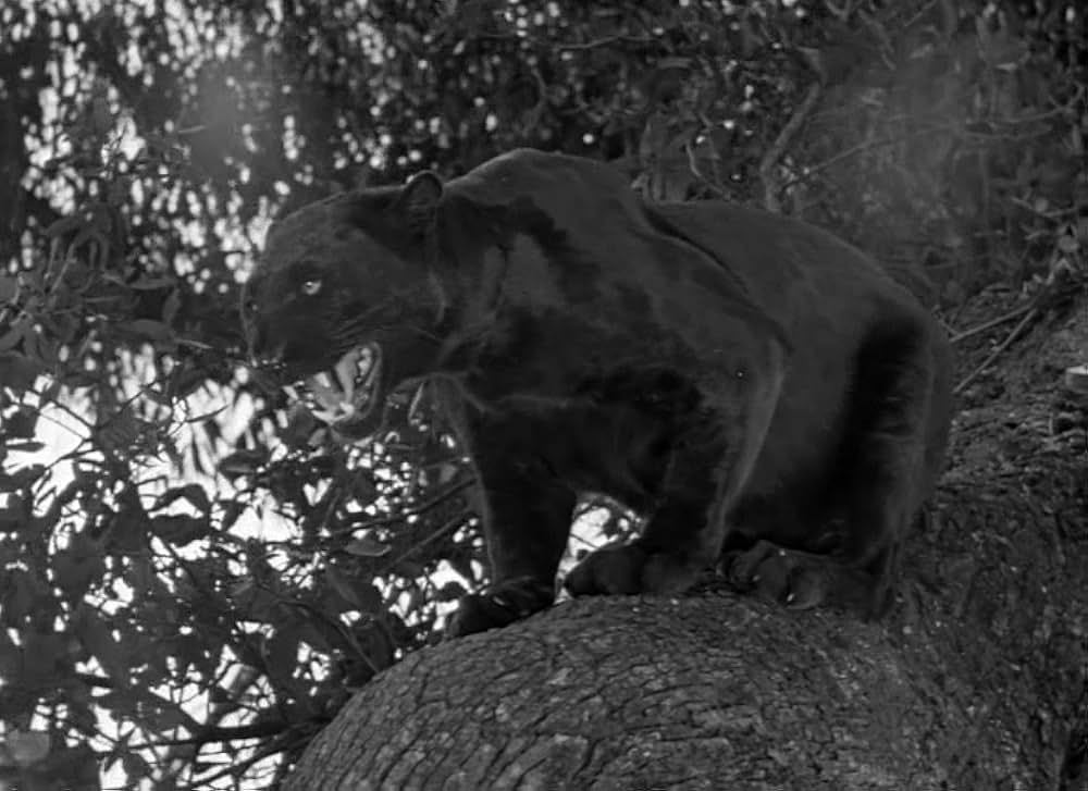 魔境のターザンの画像