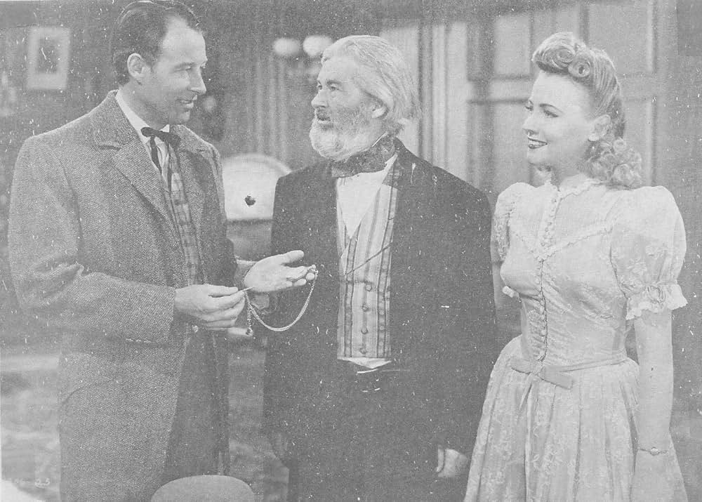 国境の狼群の画像