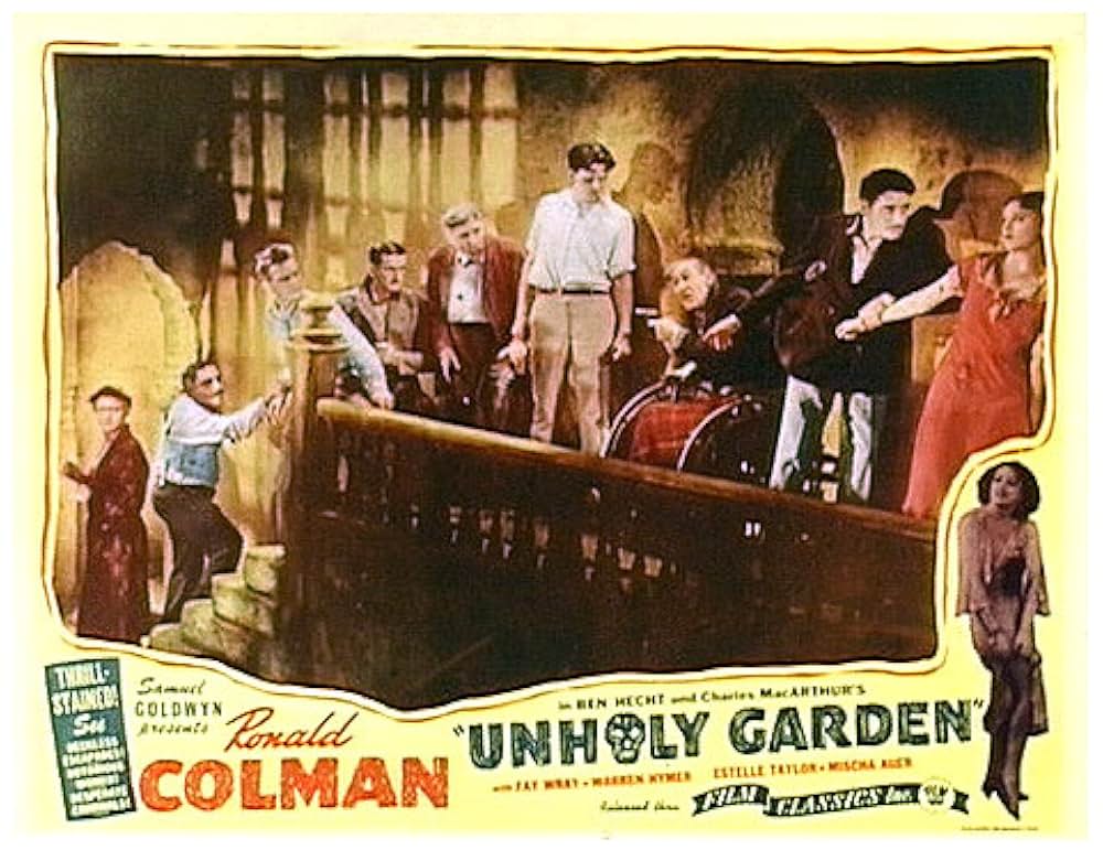 国際盗賊ホテルの画像