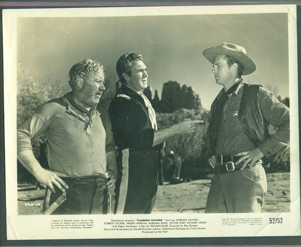 アリゾナの襲撃の画像