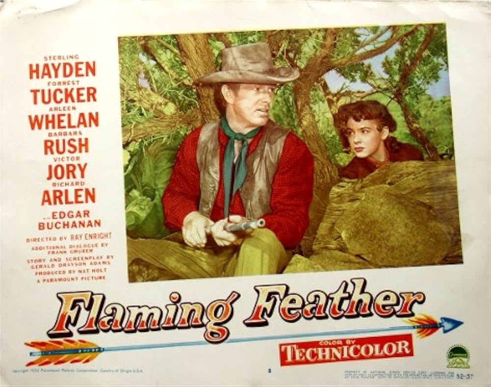 アリゾナの襲撃の画像