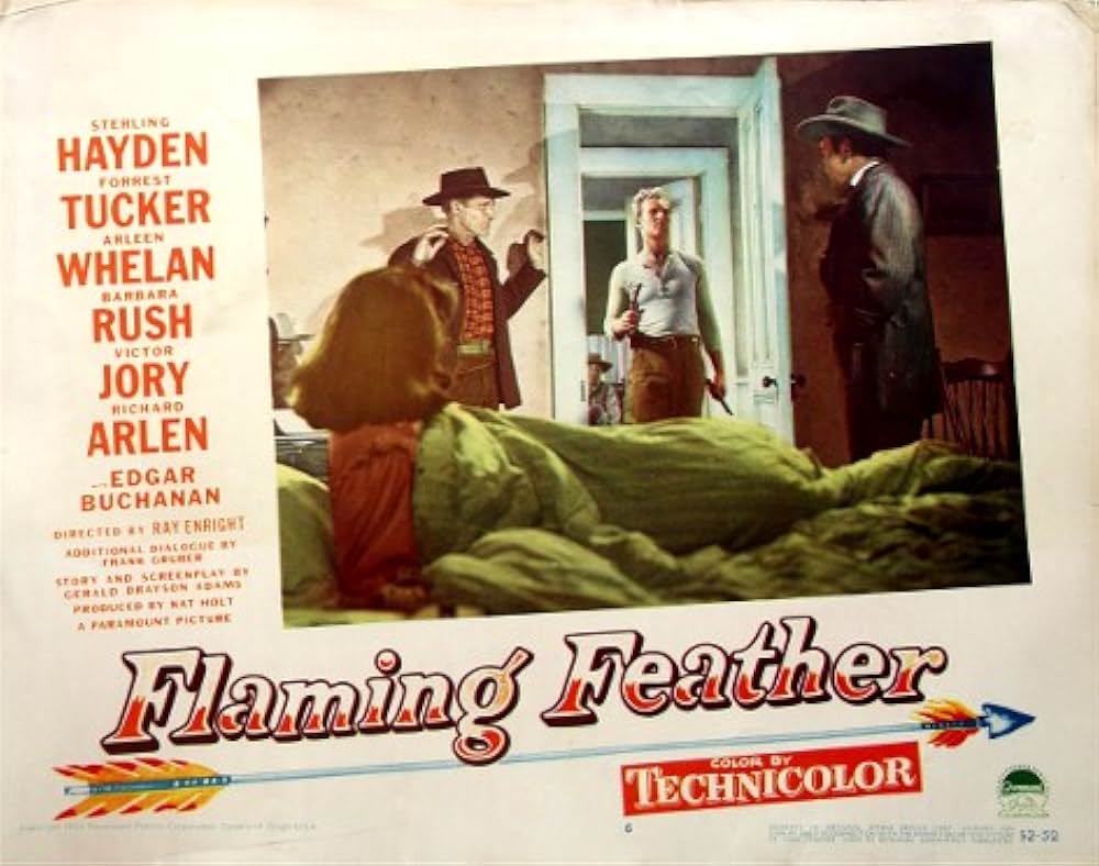 アリゾナの襲撃の画像