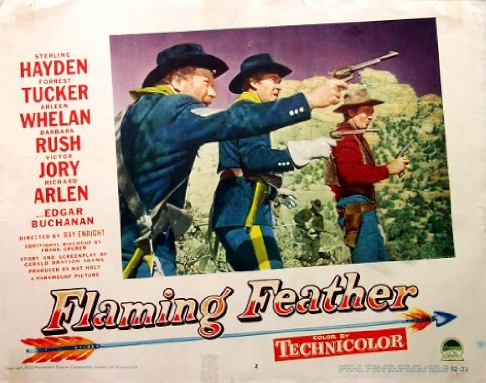 アリゾナの襲撃の画像