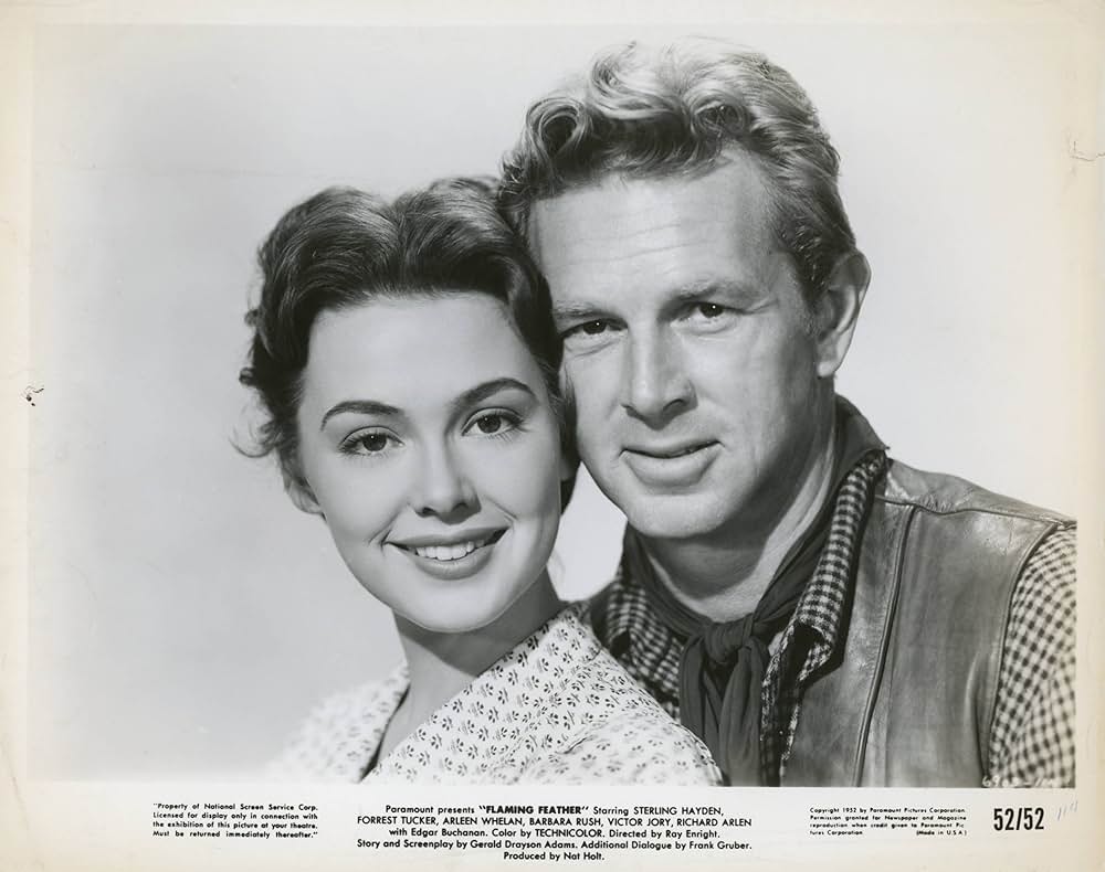 アリゾナの襲撃の画像