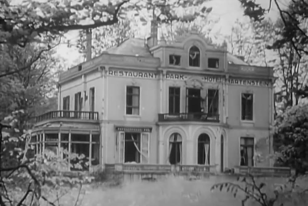 第一空挺兵団の画像