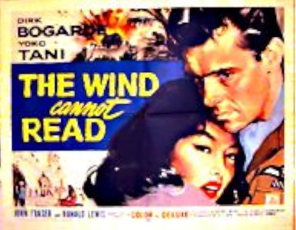 風は知らないの画像