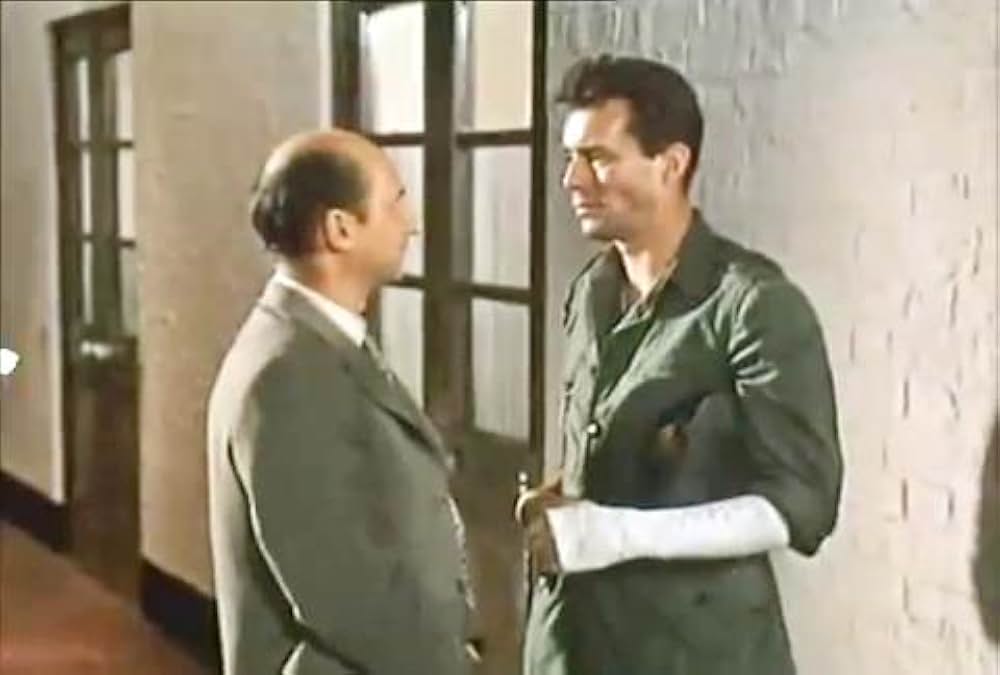 風は知らないの画像