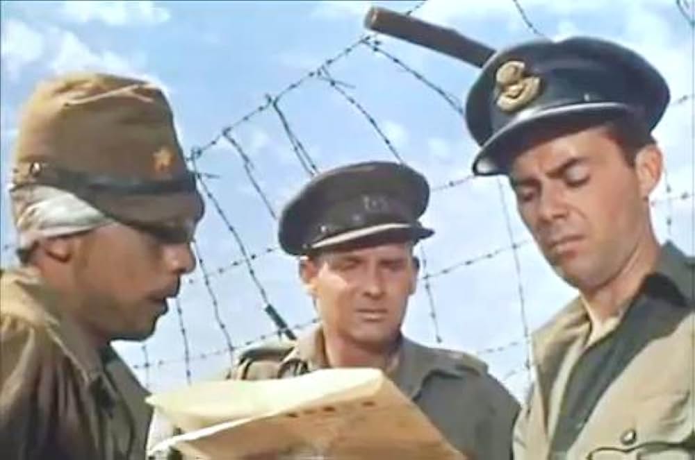 風は知らないの画像