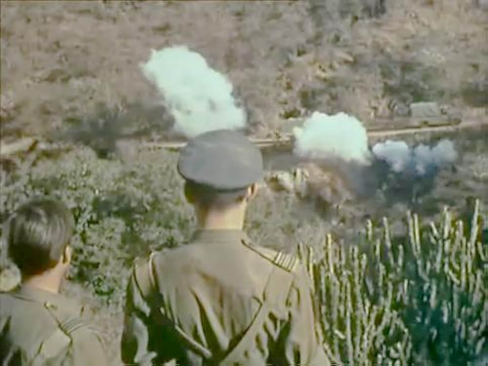 風は知らないの画像