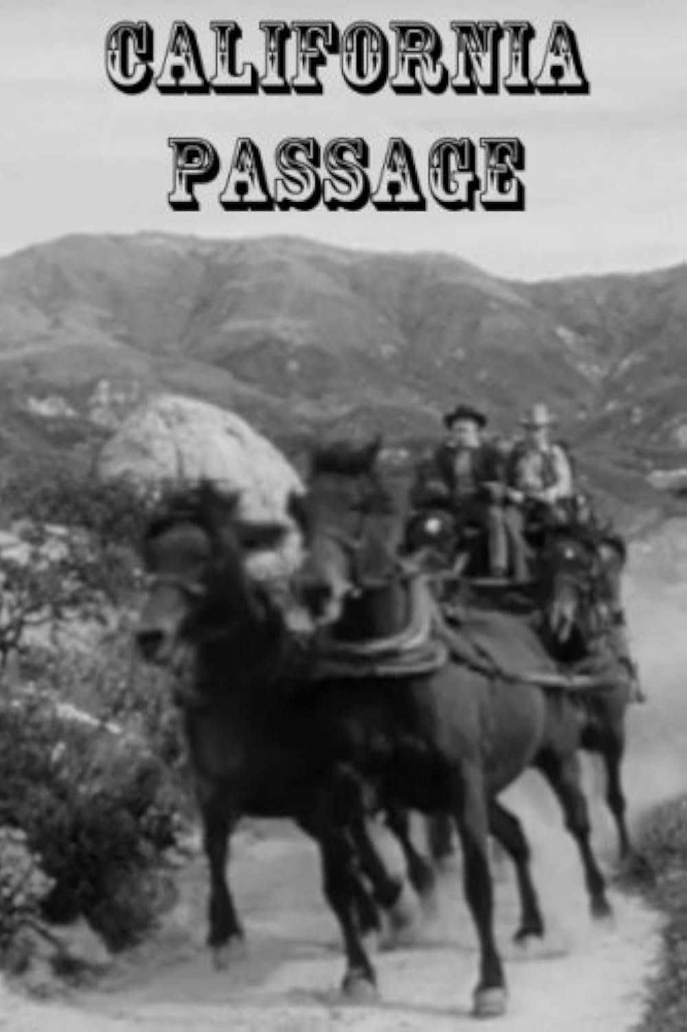 流れ者の復讐の画像