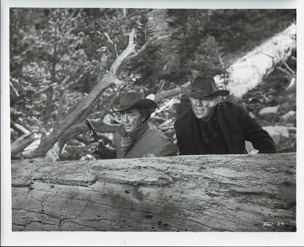 悪党谷の二人の画像