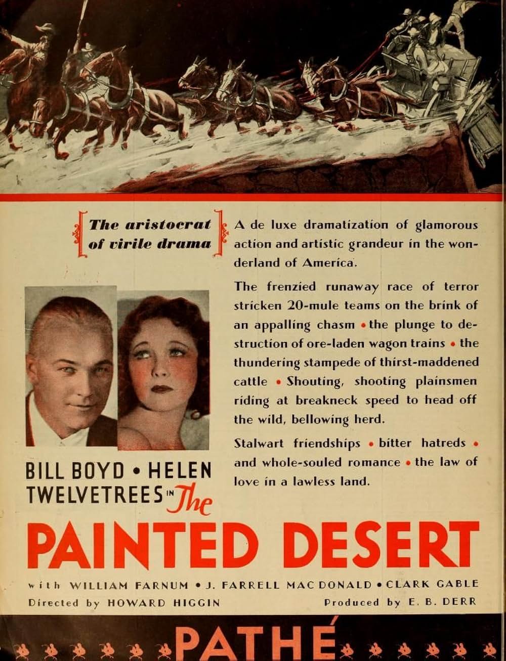 惨劇の砂漠の画像