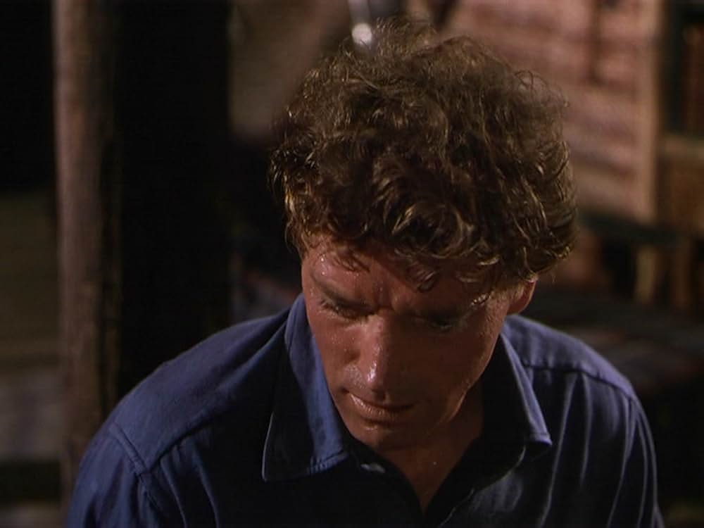 白人酋長の画像